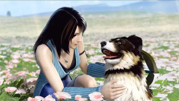 Skyrim компаньон холо. скайрим мод напарники. Skyrim sara. отличный компаньон. собака вегас.