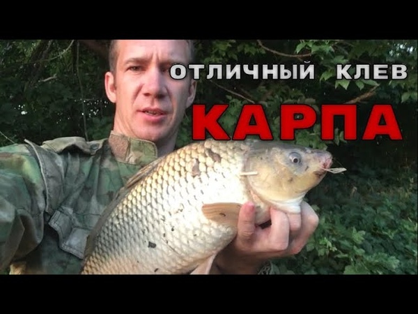 Клев на кубани на сегодня. Календарь рыбака на июль 2022. Рыба топ. Календарь клева 2023. Фазы луны и клев рыбы.