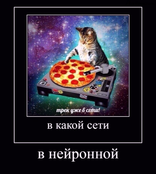 Глупая питса мем с котом котячие мемы ВКонтакте