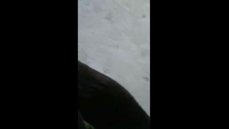 Котик на балконі. Тиша, спів пташок