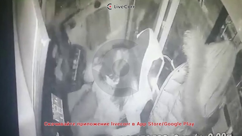 Это картинка