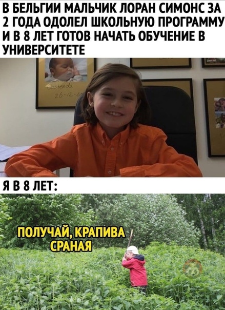 веселые картинки