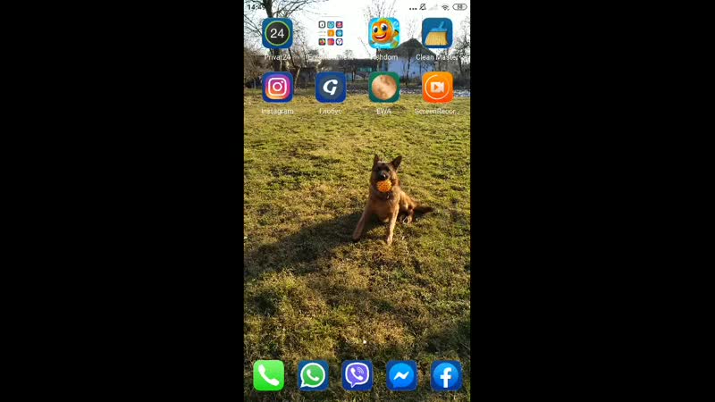 Received_190939945481380.mp4
