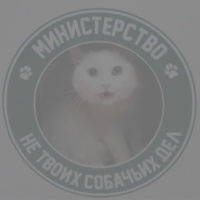 Фотография анкеты Антона Звягина ВКонтакте