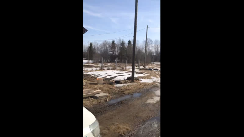 Сезон начало 2020